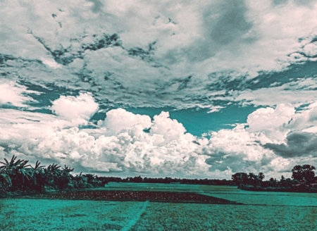 green field and blue sky with white clouds - retro vintage film effectの写真素材