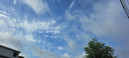 Blue sky with white clouds and tree. Panoramic view.の写真素材