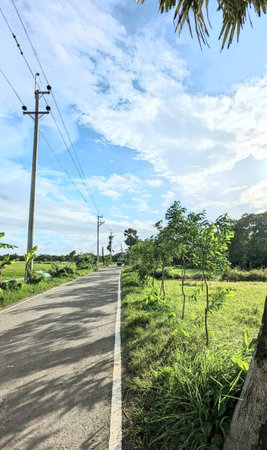 Asphalt road with green grass and blue sky in countryside of Thailandの写真素材