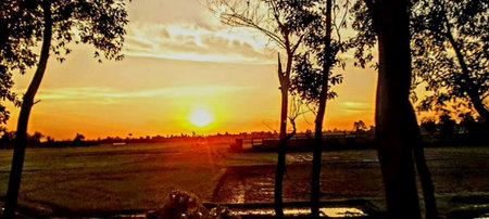 Sunset in the countryside of Thailand. Panoramic view.の写真素材