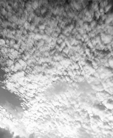 Clouds in the sky in black and white. Abstract nature background.