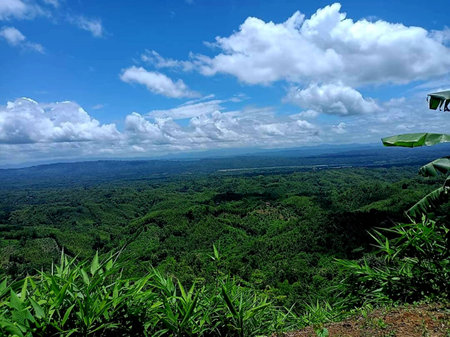 view from the top of the mountain with green grass and blue skyの写真素材
