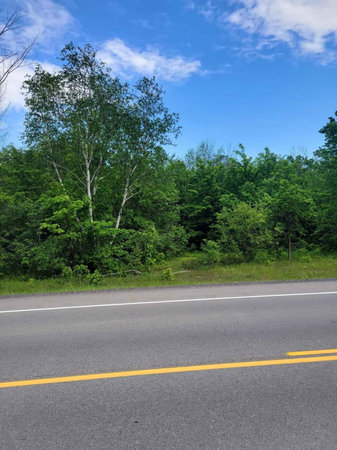 Asphalt road in the forest and blue sky with white clouds.の写真素材