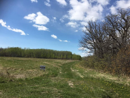 Dirt road in the forest and blue sky with white clouds.の写真素材