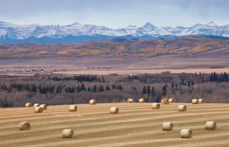 hay bales in the field with snow capped mountains in the backgroundの写真素材