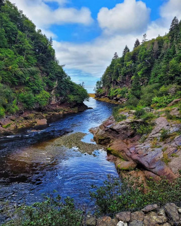 Beautiful landscape of the mountain river in the forest. Summer.