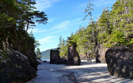 A view of the coastline of the Pacific Ocean in Washington State.