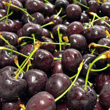 Cherries background. Close-up of black cherries.