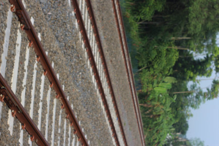 Railway tracks in the forest. View from above. Selective focus.