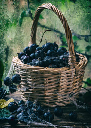 Raw black currant in basketの写真素材