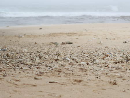photo of beach sand. natural texture background.の写真素材