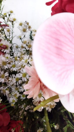 Vivid flower bouquet featuring pink white and red blooms with green leaves captured in natural light creating a fresh and vibrant atmosphere perfect for floral and decoration marketing.の写真素材