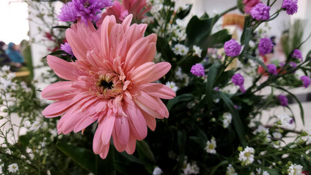 Pink flower in focus surrounded by purple and white blossoms, lush green leaves, natural lighting,...