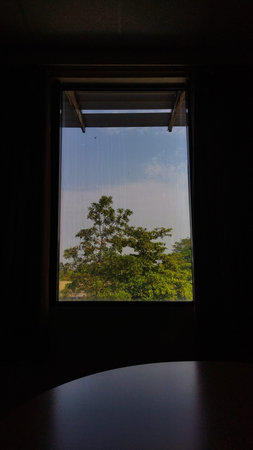 A bright open window reveals lush green tree and blue sky with clouds, creating a fresh and peaceful atmosphere perfect for home or office decor.の写真素材
