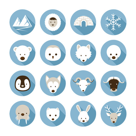 Winter, Nature Travel and Wildlifeのイラスト素材