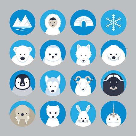 Winter, Nature Travel and Wildlifeのイラスト素材