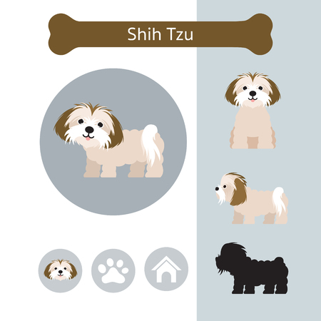 Shih Tzu Dog Breed Infographic, Illustration, Front and Side View, Iconのイラスト素材