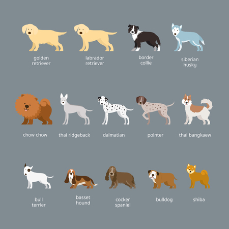 Dog Breeds Set, Large and Medium Size, Side View, Facing Front, Vector Illustrationのイラスト素材