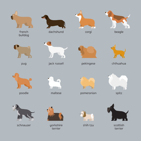 Dog Breeds Set, Small and Medium Size, Side View, Vector Illustrationのイラスト素材
