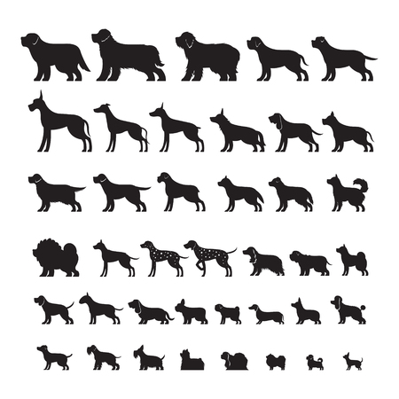 Dog Breeds, Silhouette Set, Side View, Vector Illustrationのイラスト素材
