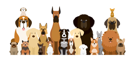 Group of Dog Breeds Illustration, Various Size, Front View, Pet