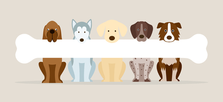 Group of Dog Breeds Holding Bone, Front View, Pet, Background, Bannerのイラスト素材
