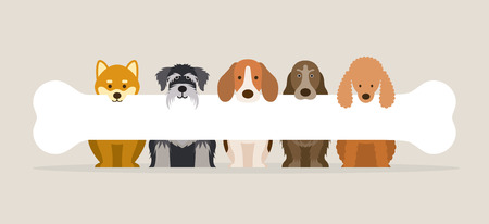 Group of Dog Breeds Holding Bone, Front View, Pet, Background, Banner のイラスト素材