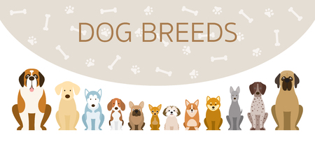 Group of Dog Breeds Illustration, Front View in a Row with Background, Petのイラスト素材
