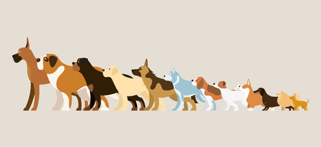 Group of Dog Breeds Illustration, Side View Arranged in Height Orderのイラスト素材