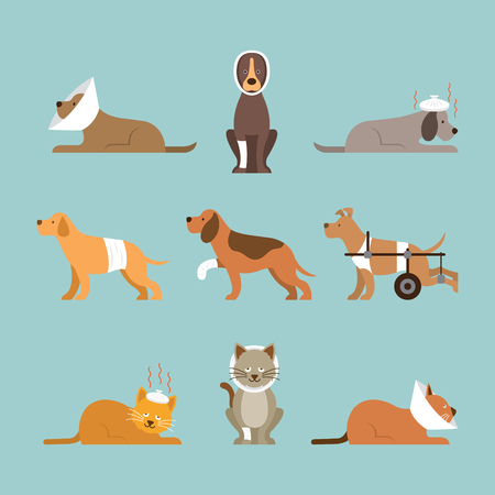 Cats and Dogs Get Sick Vector Setのイラスト素材