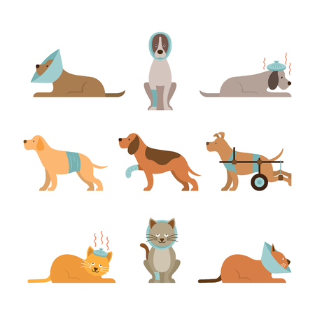 Cats and Dogs Get Sick Vector Setのイラスト素材