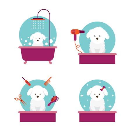 Dog in Grooming Shop or Salonのイラスト素材
