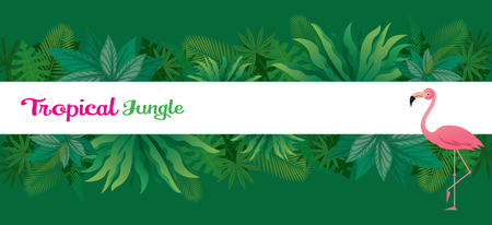 Pink Flamingo with Tropical Jungle Frame, Animal with Plant and Nature, Backgroundのイラスト素材