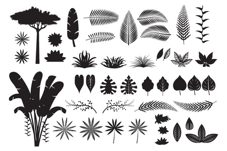 Leaves Tropical Jungle Silhouette Set, Forrest, Rainforest, Plant and Natureのイラスト素材