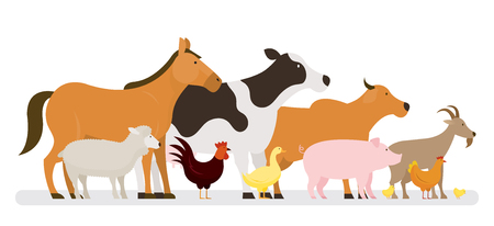 Group of Farm Animals, Side View, Farming, Farmland, Agriculture Productのイラスト素材
