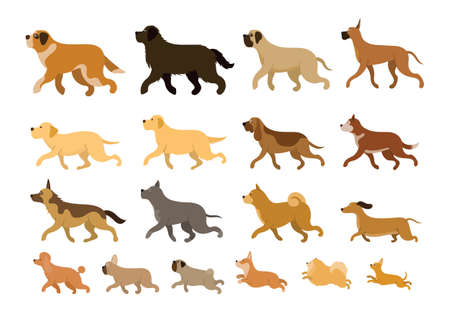 Various Dog Breeds Running Set, Large, Medium and Small Body Sizes, Side Viewのイラスト素材