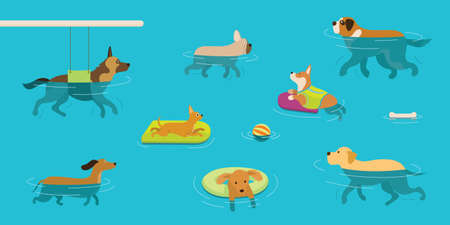 Dogs Swimming in Water or Pool, Playing, Exercise, Hydrotherapy or Physical Therapyのイラスト素材