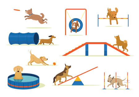 Dogs Playing with Equipment Set, Playground, Training, Exercise and Challengeのイラスト素材