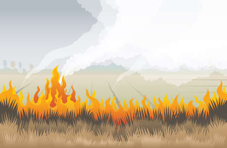 Grass Fire, Field with Burning Dry Grass Background, Pollution, Pm2.5のイラスト素材
