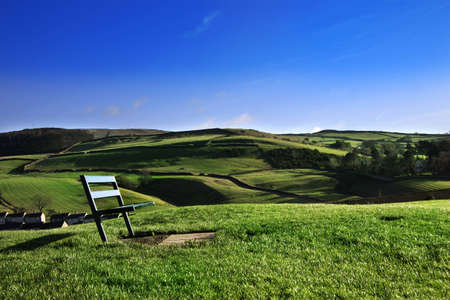 bench in natureの写真素材