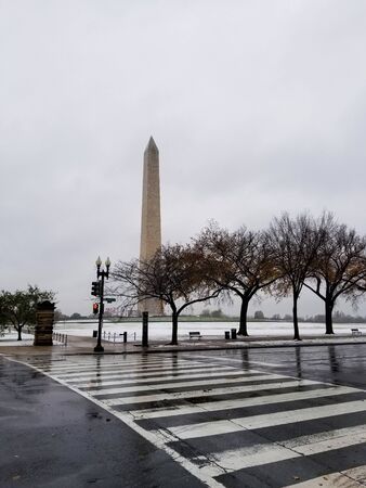 Washington Monument across the street on a rainy day, behind the trees and traffic signal, Washington DCの写真素材