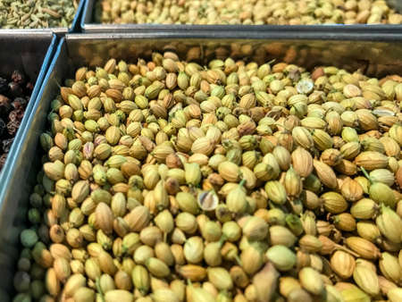 closeup view of fresh coriander seeds heap kept in an Indian market for sale. selective focus. indian spices.の写真素材