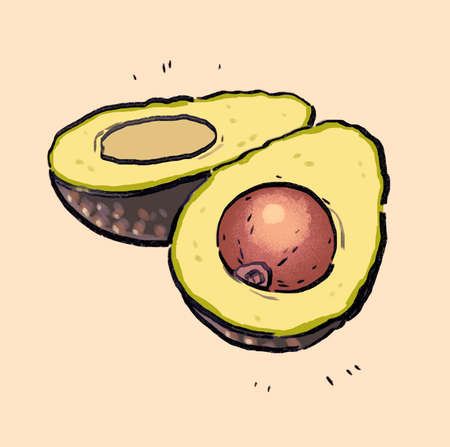 Organic hand drawn avocado with pit cut in half, on beige backgroundの写真素材