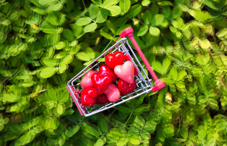 Heart candy in the green groundの写真素材