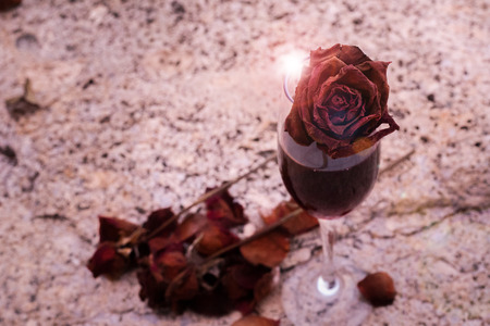 the rose of romanceの写真素材