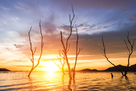 the tree , sun, cloud and water  to be landscape. the mountain are background the lake.の写真素材