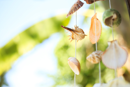 Vintage mobile made from variety seashells. It's hangの写真素材
