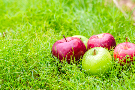 An apple is on the green grass.の写真素材