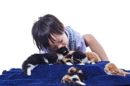 Children hand playing kitten together.の写真素材
