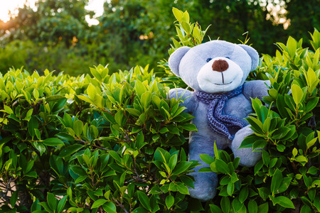 A doll is on the tree fence.の写真素材